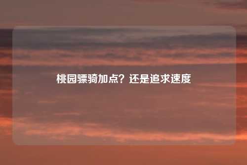 桃园骠骑加点？还是追求速度