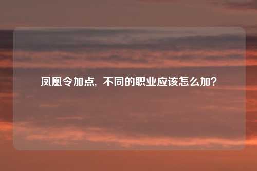 凤凰令加点,  不同的职业应该怎么加？