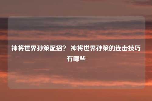 神将世界孙策配招? 神将世界孙策的连击技巧有哪些