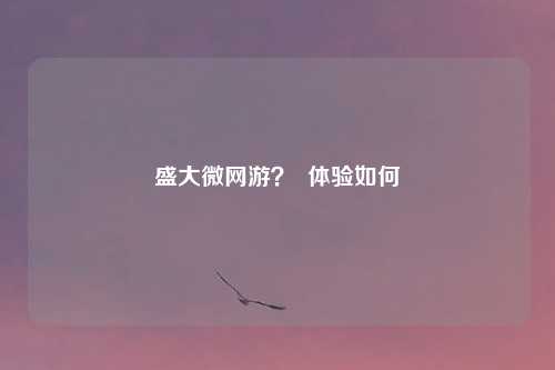 盛大微网游？  体验如何