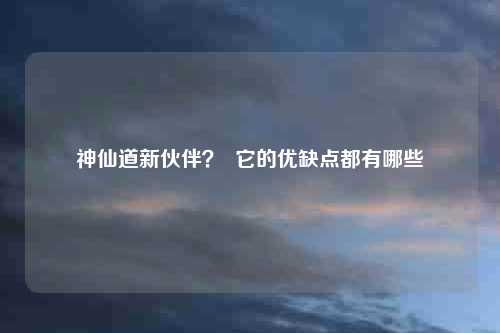 神仙道新伙伴？  它的优缺点都有哪些
