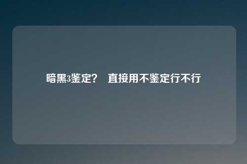 暗黑3鉴定? 直接用不鉴定行不行