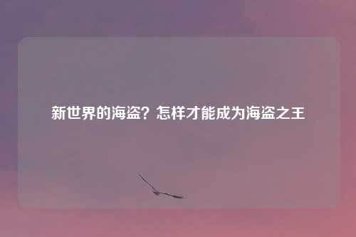 新世界的海盗?怎样才能成为海盗之王