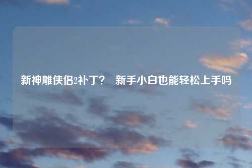 新神雕侠侣2补丁？  新手小白也能轻松上手吗