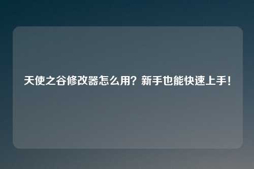天使之谷修改器怎么用？新手也能快速上手！
