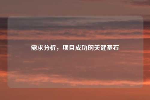 需求分析，项目成功的关键基石