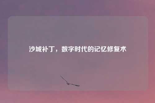 沙城补丁，数字时代的记忆修复术