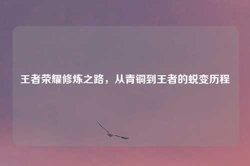 王者荣耀修炼之路，从青铜到王者的蜕变历程