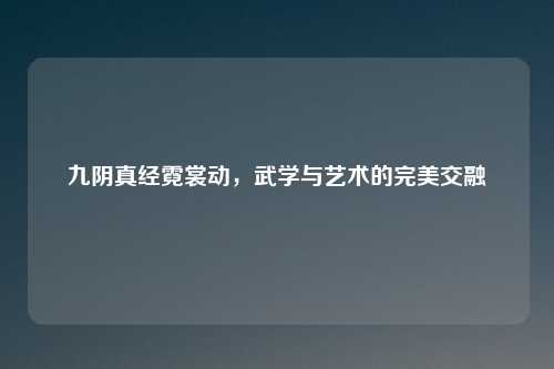 九阴真经霓裳动，武学与艺术的完美交融