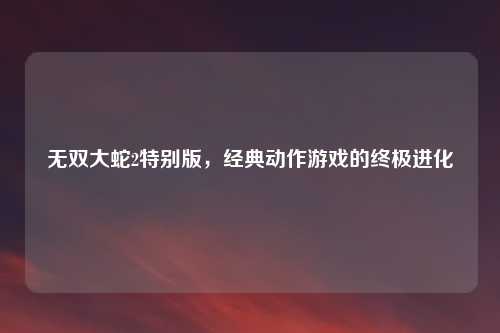 无双大蛇2特别版，经典动作游戏的终极进化