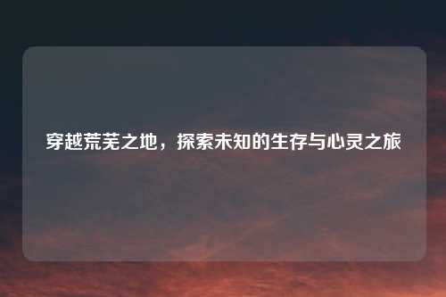 穿越荒芜之地，探索未知的生存与心灵之旅