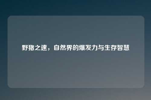 野猪之速，自然界的爆发力与生存智慧