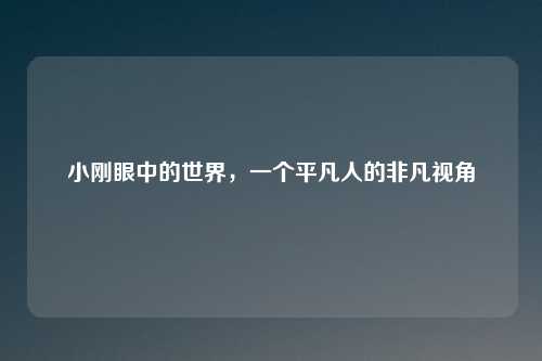 小刚眼中的世界，一个平凡人的非凡视角