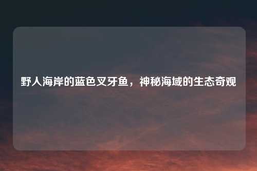 野人海岸的蓝色叉牙鱼，神秘海域的生态奇观