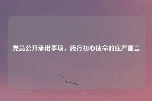 党员公开承诺事项，践行初心使命的庄严宣言