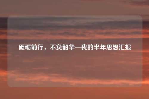 砥砺前行，不负韶华—我的半年思想汇报