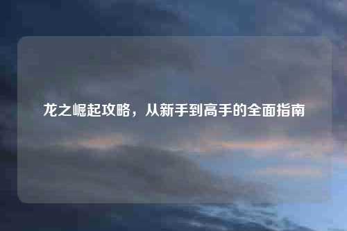 龙之崛起攻略，从新手到高手的全面指南