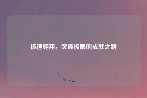 极速翱翔，突破极限的成就之路