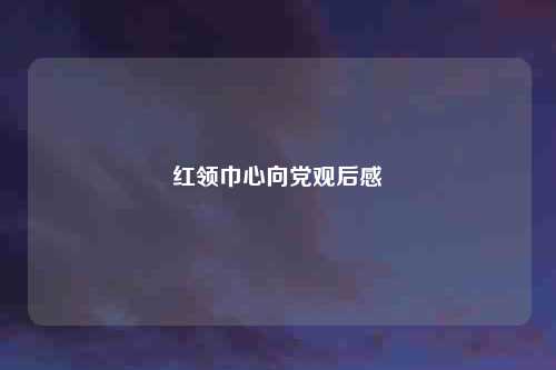 红领巾心向党观后感