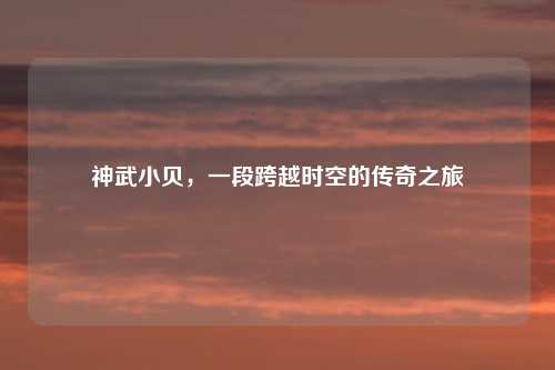 神武小贝，一段跨越时空的传奇之旅