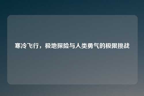 寒冷飞行，极地探险与人类勇气的极限挑战