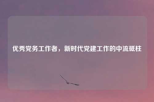 优秀党务工作者，新时代党建工作的中流砥柱