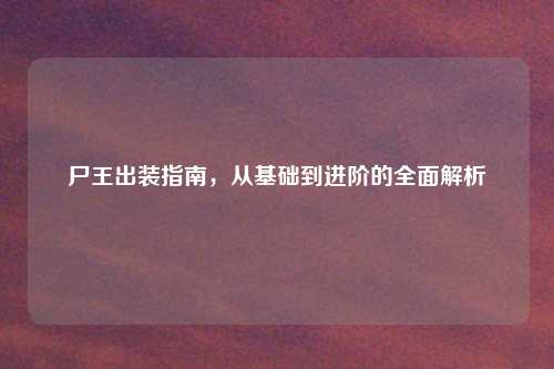 尸王出装指南，从基础到进阶的全面解析