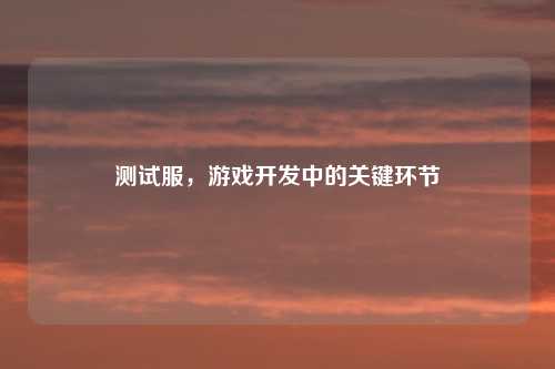 测试服，游戏开发中的关键环节