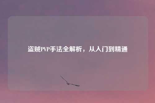 盗贼PVP手法全解析，从入门到精通