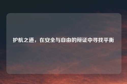 护航之道，在安全与自由的辩证中寻找平衡