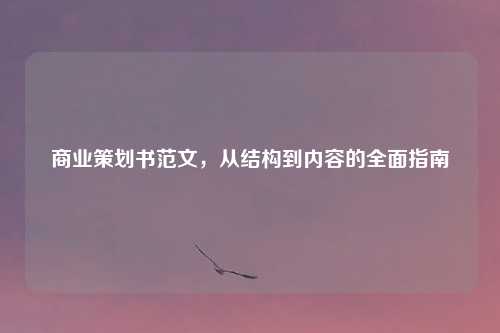 商业策划书范文，从结构到内容的全面指南